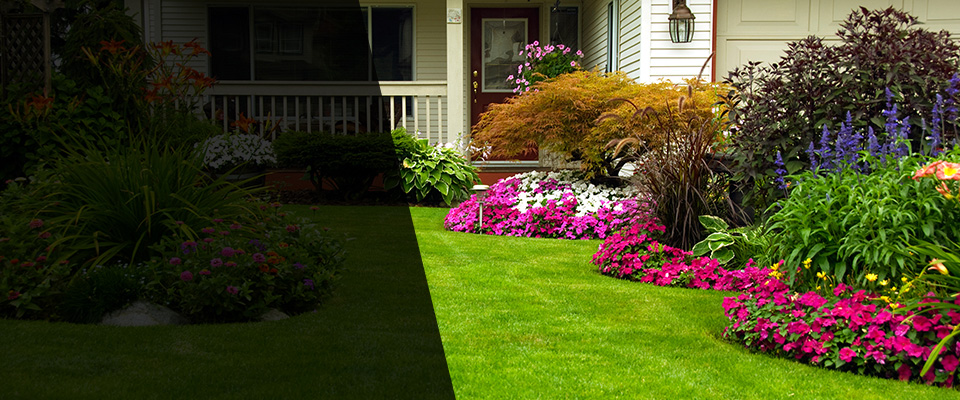 Shoshone Landscapers